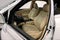 2011 Lexus RX 350 FWD 4dr