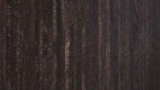 Interior Trim Color: Natural Grain Walnut wood | Mercedes-Benz of Honolulu in Honolulu HI